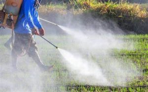 Read more about the article The hidden dangers of unregulated pesticides usage and its adverse effects on farmers, consumers and environment: the case of Nigeria – By Omowumi Fawole