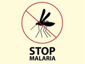 Read more about the article Empowering Rural Communities on Malaria Prevention and Control – By Happiness Agboola