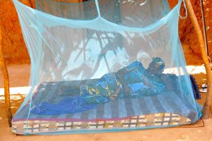 Read more about the article The underlying factors hindering the effective use of mosquito nets in the fight against malaria in rural communities – By Oladimeji Ayodeji Amos